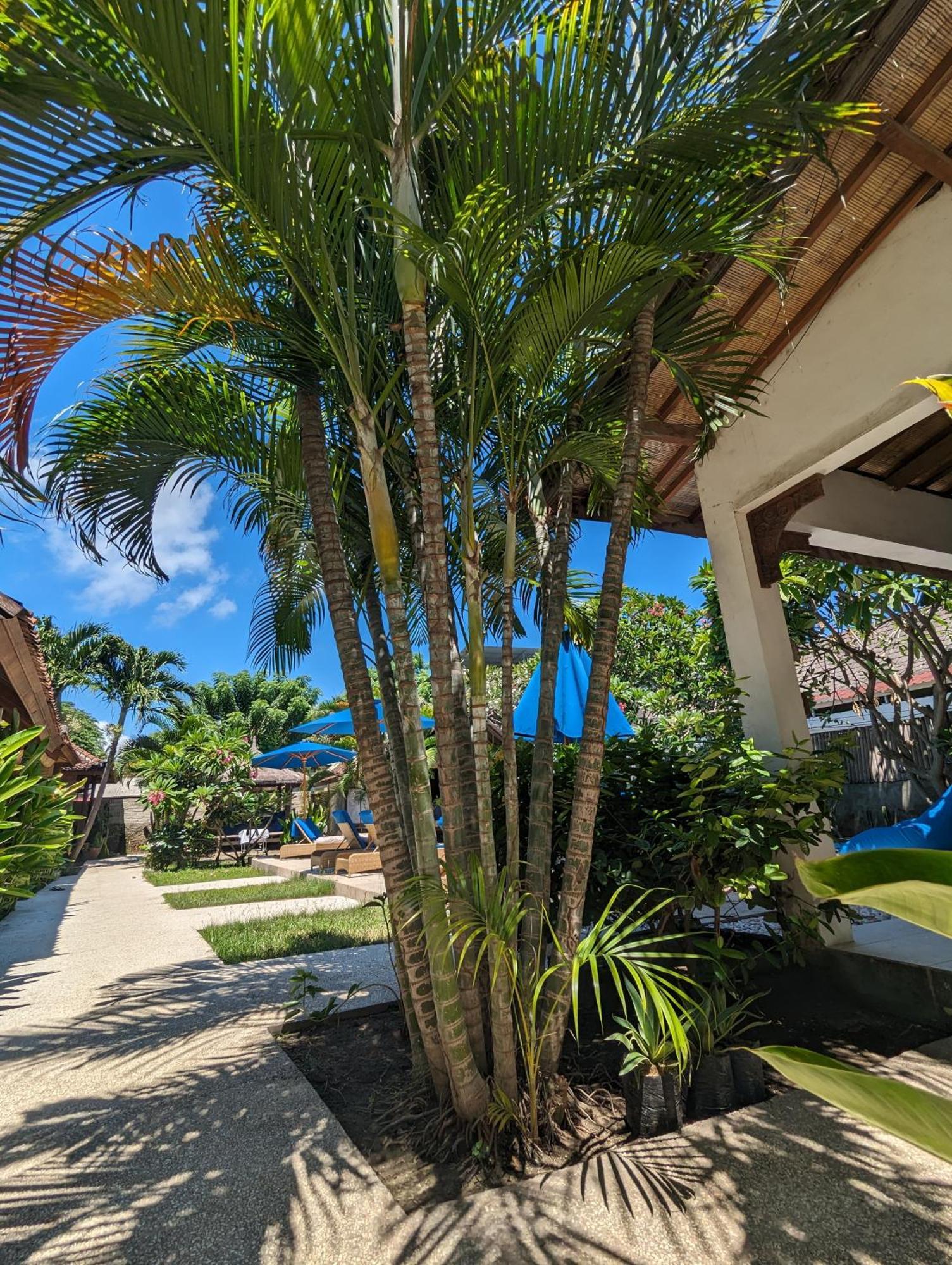 Indigo Bungalows Gili Trawangan Esterno foto