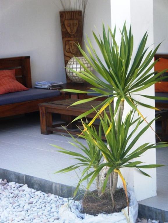 Indigo Bungalows Gili Trawangan Esterno foto